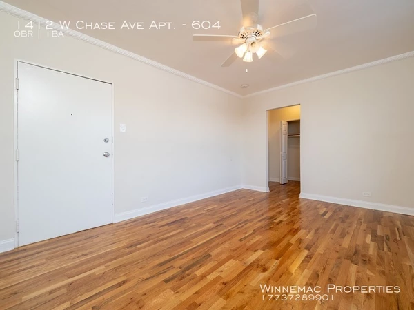 Studio Apartment for rent in Rogers Park - Far North Side, Chicago