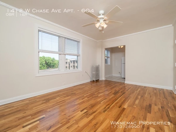 Studio Apartment for rent in Rogers Park - Far North Side, Chicago