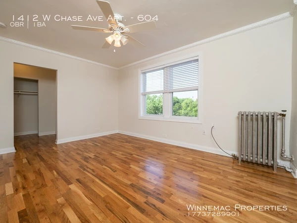 Studio Apartment for rent in Rogers Park - Far North Side, Chicago