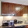 1 bedroom apartment for rent in City Park - Center Denver, Denver