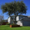4 bedrooms apartment for rent in Greater Greenspoint - Ne Houston, Houston