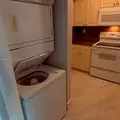 1 bedroom apartment for rent in Tamiami - Miami Dade, Miami