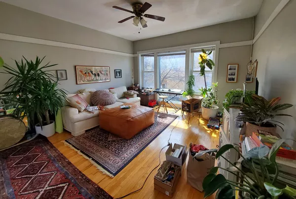 1 bedroom apartment for rent in North Center - North Side, Chicago