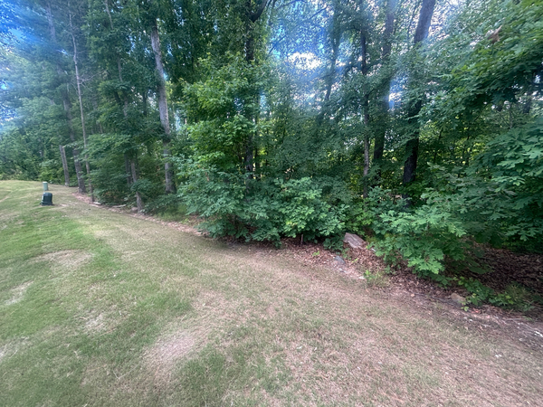 Coliving in Hope Valley - Durham, Raleigh