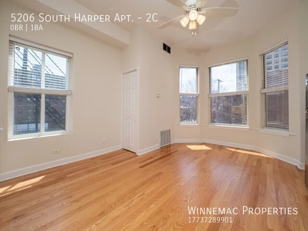 Studio Apartment for rent in Hyde Park - South Side, Chicago