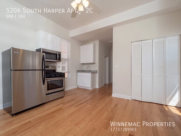 Studio Apartment for rent in Hyde Park - South Side, Chicago