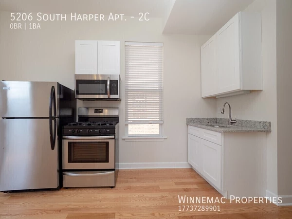 Studio Apartment for rent in Hyde Park - South Side, Chicago