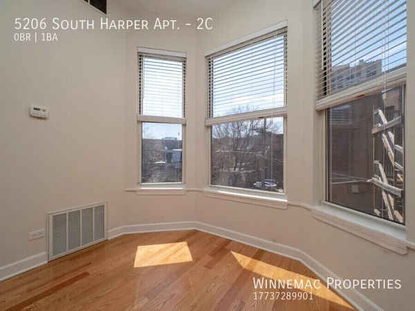 Studio Apartment for rent in Hyde Park - South Side, Chicago