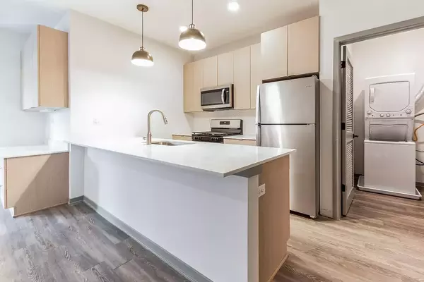 1 bedroom apartment for rent in Gold Coast - Central, Chicago