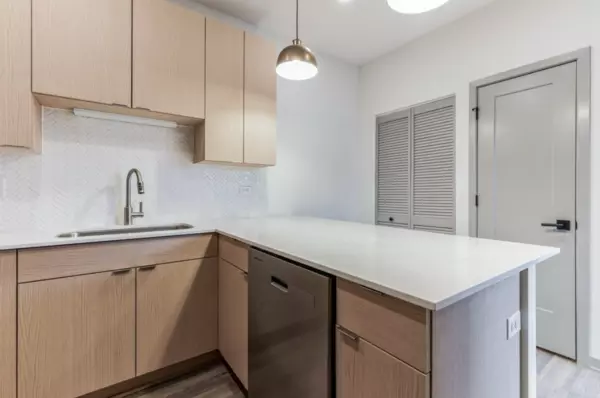 1 bedroom apartment for rent in Gold Coast - Central, Chicago