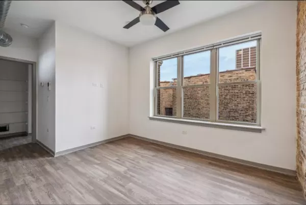 1 bedroom apartment for rent in Gold Coast - Central, Chicago