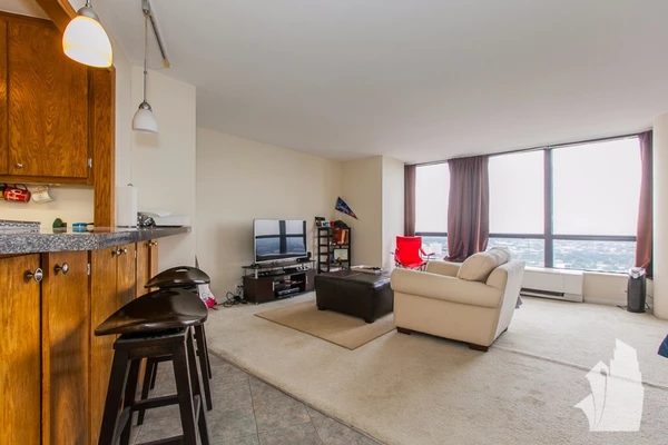 Studio Apartment for rent in Edgewater - Far North Side, Chicago