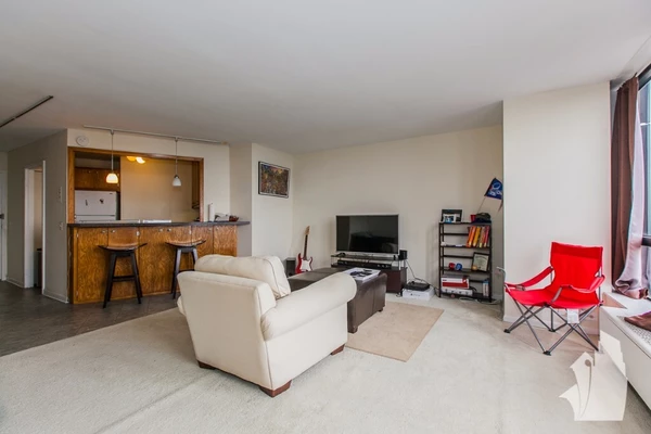 Studio Apartment for rent in Edgewater - Far North Side, Chicago