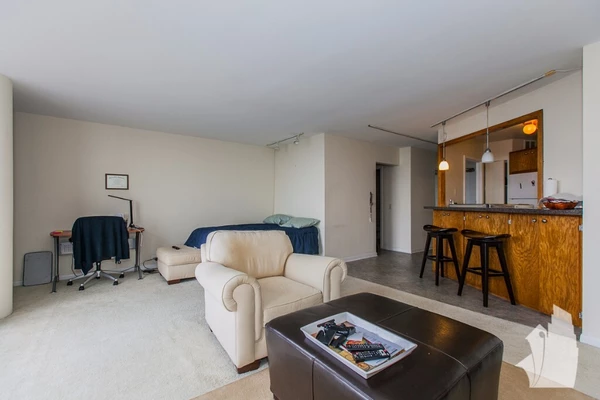 Studio Apartment for rent in Edgewater - Far North Side, Chicago