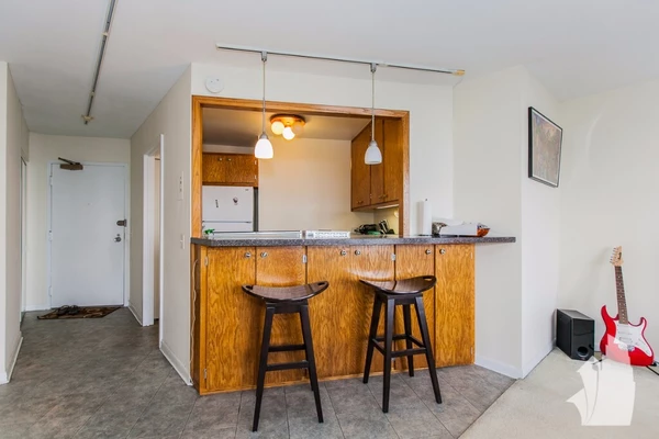 Studio Apartment for rent in Edgewater - Far North Side, Chicago