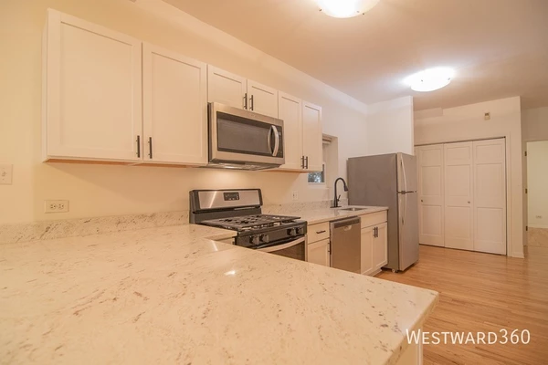 3 bedrooms apartment for rent in West Town - West Side, Chicago