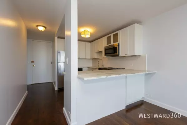 Studio Apartment for rent in Gold Coast - Central, Chicago