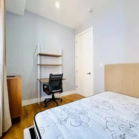 Coliving in Crown Heights - Brooklyn, New York