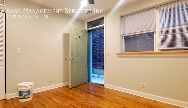 2 bedrooms apartment for rent in Lower West Side - West Side, Chicago