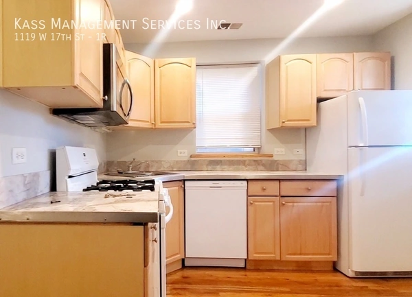 2 bedrooms apartment for rent in Lower West Side - West Side, Chicago