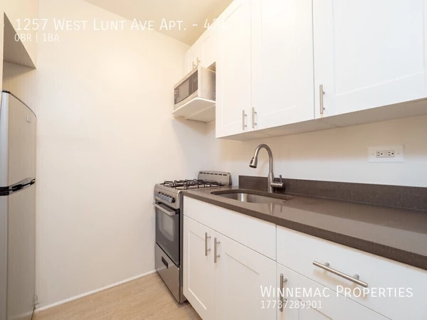 Studio Apartment for rent in Rogers Park - Far North Side, Chicago