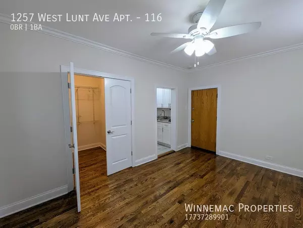 Studio Apartment for rent in Rogers Park - Far North Side, Chicago