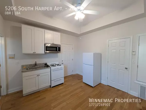 Studio Apartment for rent in Hyde Park - South Side, Chicago