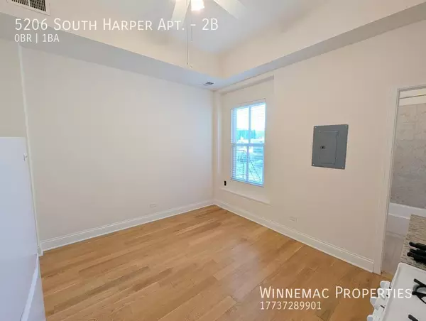 Studio Apartment for rent in Hyde Park - South Side, Chicago