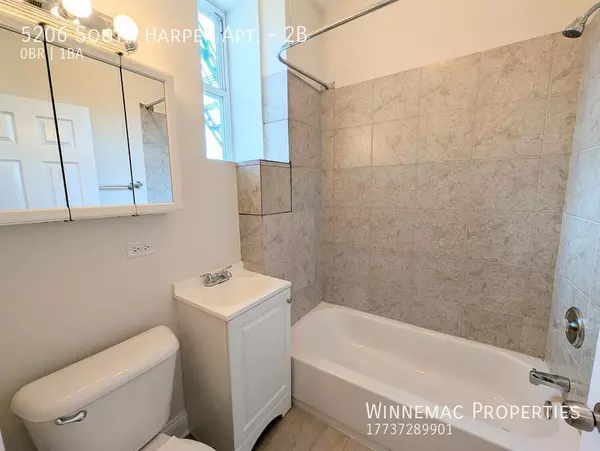 Studio Apartment for rent in Hyde Park - South Side, Chicago