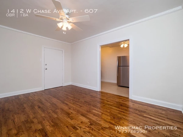 Studio Apartment for rent in Rogers Park - Far North Side, Chicago