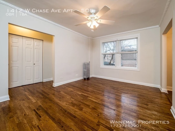 Studio Apartment for rent in Rogers Park - Far North Side, Chicago