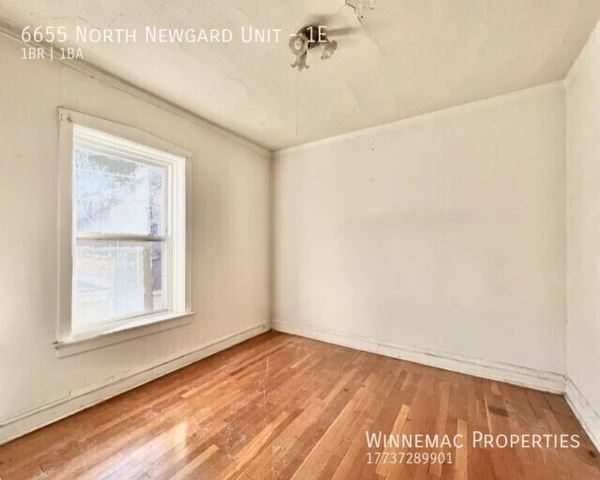 1 bedroom apartment for rent in Rogers Park - Far North Side, Chicago