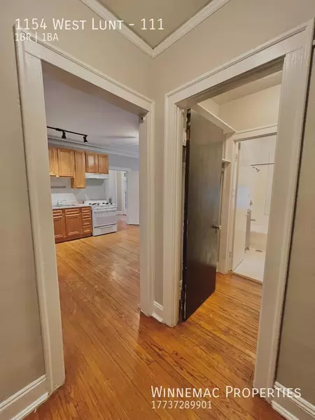 1 bedroom apartment for rent in Rogers Park - Far North Side, Chicago