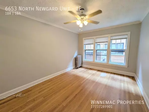 1 bedroom apartment for rent in Rogers Park - Far North Side, Chicago