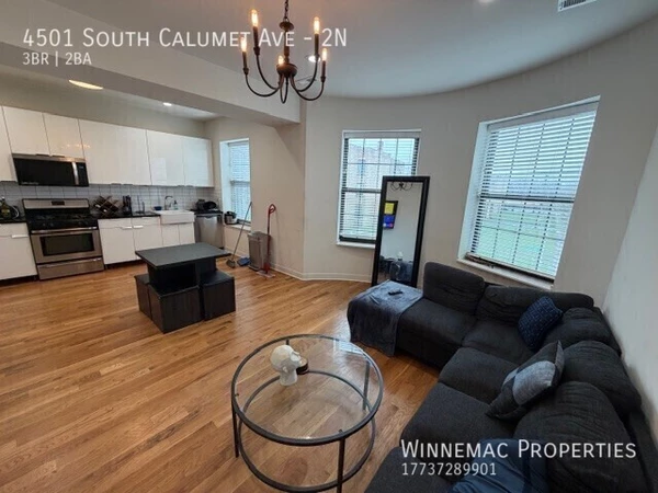 3 bedrooms apartment for rent in Grand Boulevard - South Side, Chicago