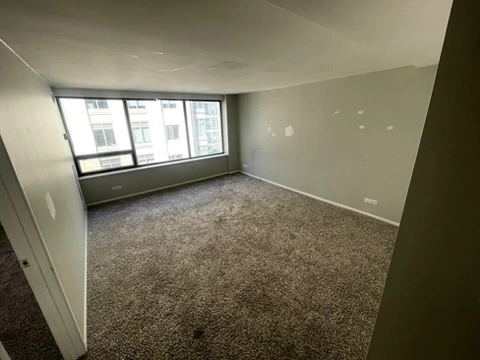 1 bedroom apartment for rent in Streeterville - Central, Chicago
