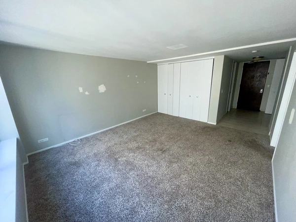 1 bedroom apartment for rent in Streeterville - Central, Chicago