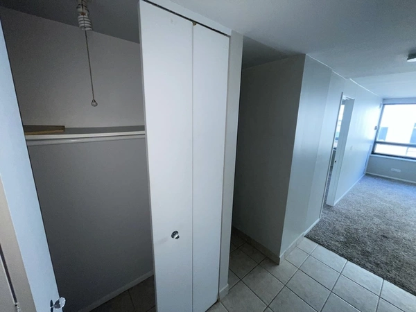 1 bedroom apartment for rent in Streeterville - Central, Chicago