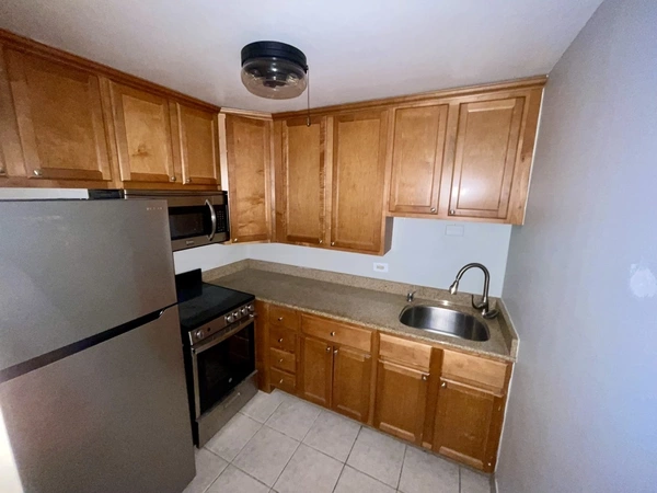 1 bedroom apartment for rent in Streeterville - Central, Chicago