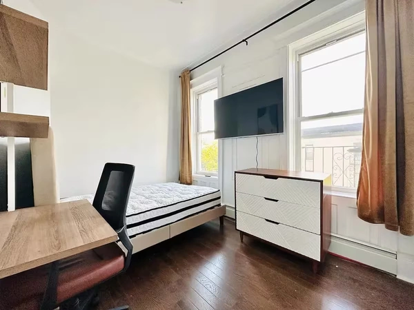 Coliving in Crown Heights - Brooklyn, New York