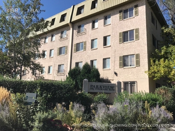 1 bedroom apartment for rent in City Park - Center Denver, Denver