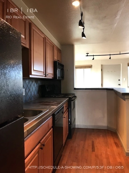 1 bedroom apartment for rent in City Park - Center Denver, Denver