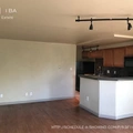 1 bedroom apartment for rent in City Park - Center Denver, Denver