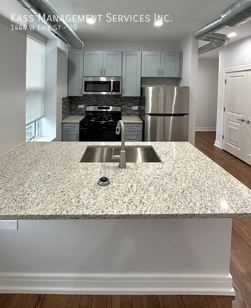 2 bedrooms apartment for rent in West Town - West Side, Chicago