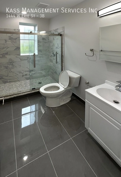 2 bedrooms apartment for rent in West Town - West Side, Chicago