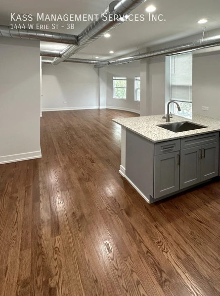 2 bedrooms apartment for rent in West Town - West Side, Chicago