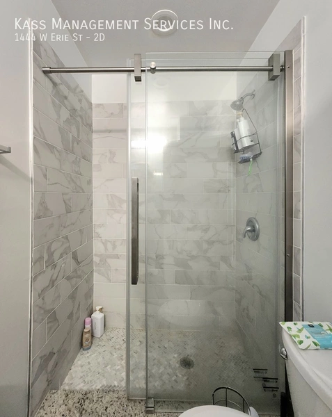 1 bedroom apartment for rent in West Town - West Side, Chicago