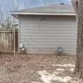 Coliving in Central East Austin - East Austin, Austin