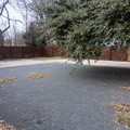 Coliving in Government Hill - East SATX, San Antonio