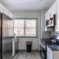1 bedroom apartment for rent in Brighton - Boston, Boston